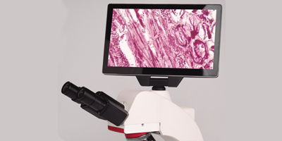 2顯示屏.png 2顯示屏.png