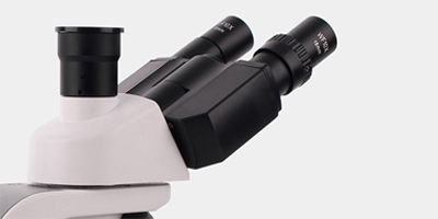 觀察頭.png 觀察頭.png